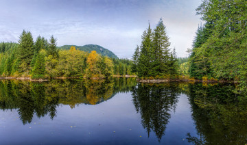 Картинка природа реки озера лес река