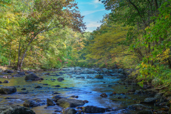 Картинка природа реки озера лес река