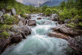 Картинка природа реки озера лес река