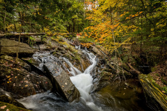 Картинка природа реки озера лес река