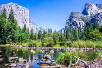 Картинка природа реки озера река лес