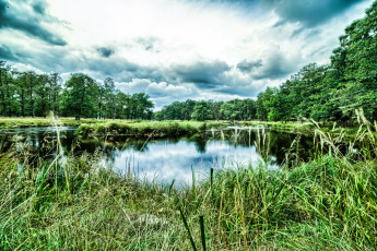 Картинка природа реки озера река лес