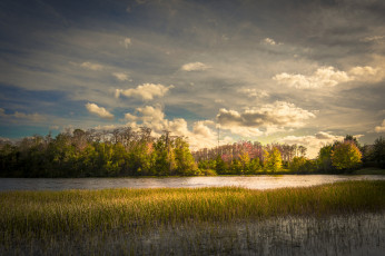 Картинка природа реки озера лес река