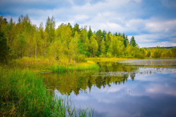 Картинка природа реки озера лес река