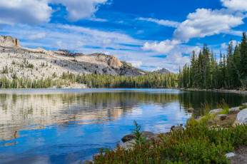 Картинка природа реки озера лес река