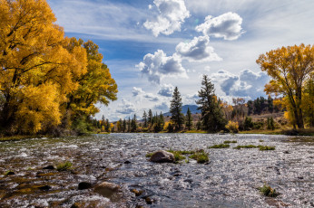 Картинка природа реки озера лес река