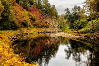 Картинка природа реки озера лес река