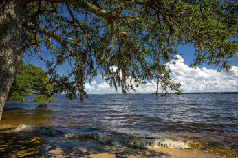 Картинка природа реки озера река лес