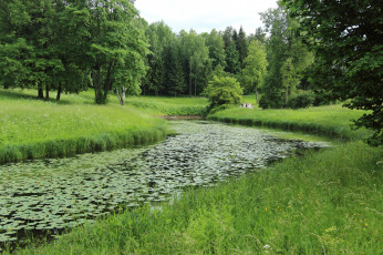 Картинка природа реки озера река лес