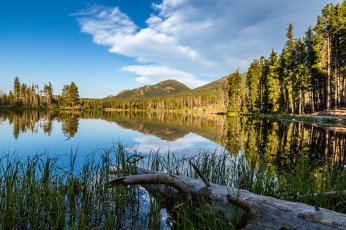 Картинка природа реки озера река лес