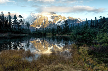 Картинка природа реки озера река лес