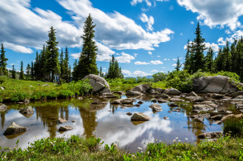 Картинка природа реки озера река лес