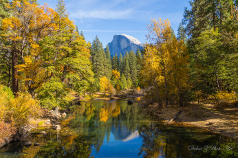 Картинка природа реки озера река лес