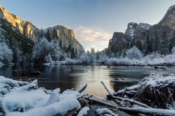 Картинка природа реки озера лес река