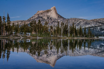 Картинка природа реки озера лес река