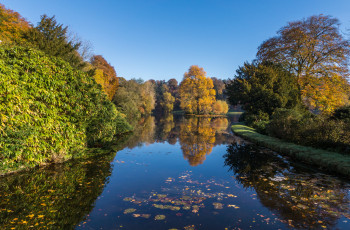 Картинка природа реки озера лес река