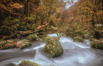 Картинка природа реки озера лес река