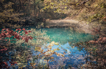 Картинка природа реки озера река лес