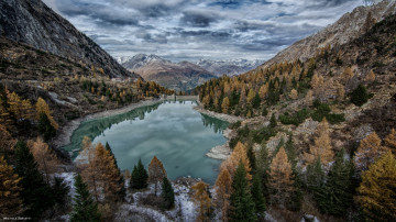 Картинка природа реки озера лес река