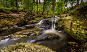 Картинка природа реки озера река лес