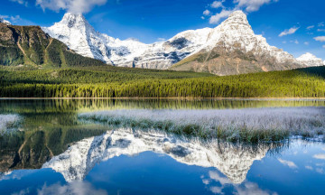 Картинка природа реки озера река лес