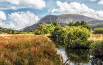 Картинка природа реки озера лес река