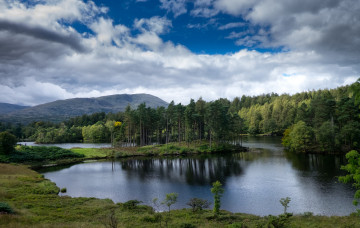 Картинка природа реки озера река лес