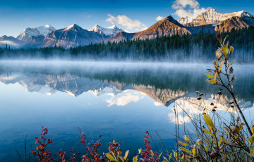 Картинка природа реки озера лес река