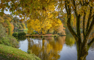 Картинка природа реки озера лес река