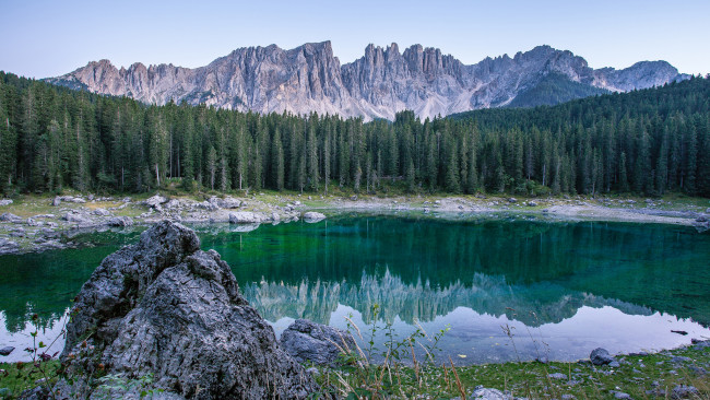 Обои картинки фото природа, реки, озера, лес, река