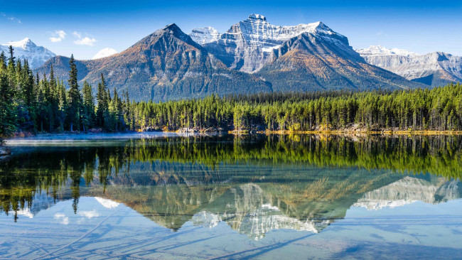 Обои картинки фото природа, реки, озера, лес, река