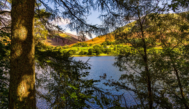 Обои картинки фото природа, реки, озера, лес, река