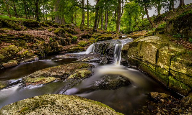 Обои картинки фото природа, реки, озера, река, лес