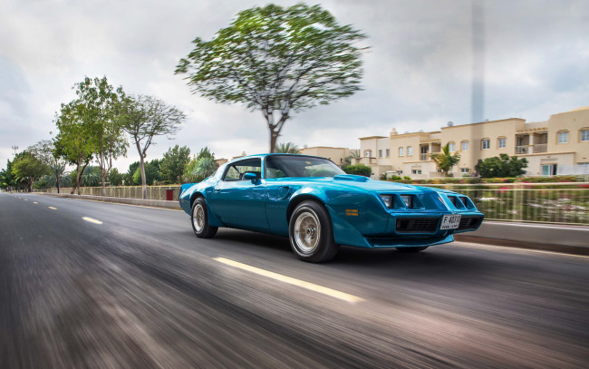 Обои картинки фото автомобили, pontiac