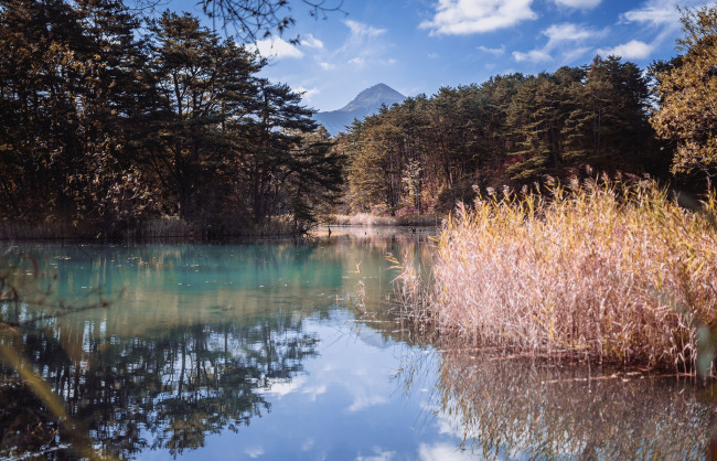 Обои картинки фото природа, реки, озера, лес, река