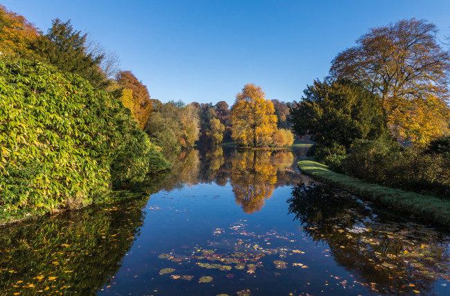 Обои картинки фото природа, реки, озера, лес, река