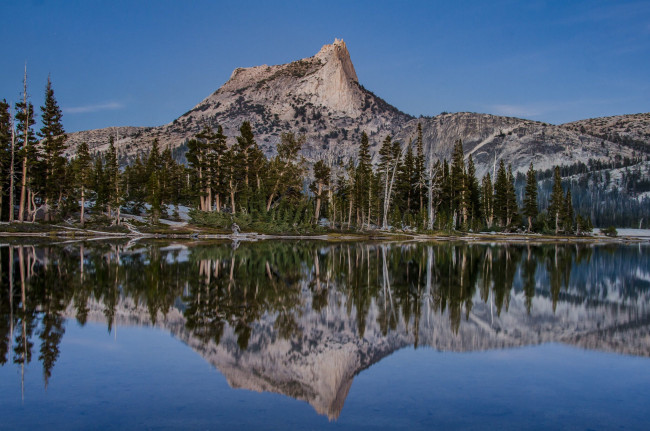 Обои картинки фото природа, реки, озера, лес, река