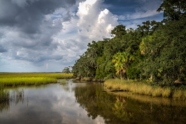 Обои картинки фото природа, реки, озера, лес, река