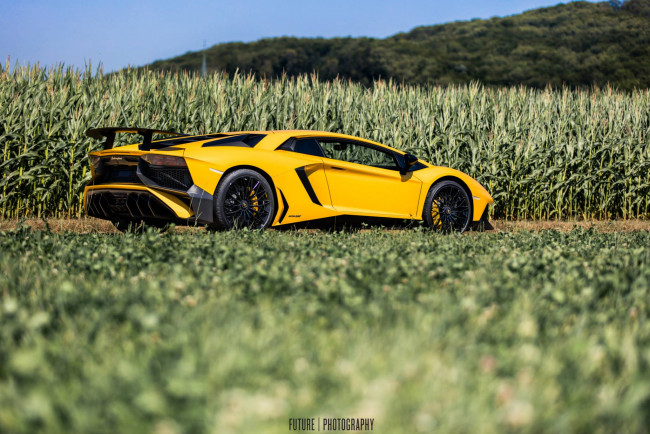 Обои картинки фото автомобили, lamborghini