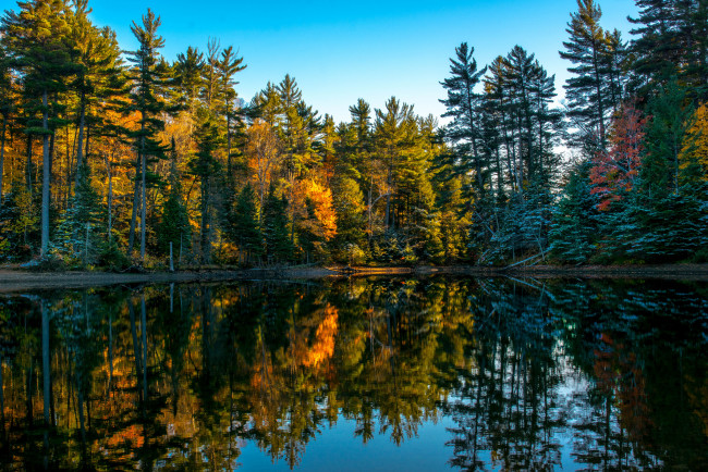 Обои картинки фото природа, реки, озера, лес, река