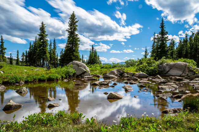 Обои картинки фото природа, реки, озера, река, лес