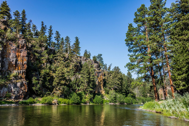 Обои картинки фото природа, реки, озера, река, лес