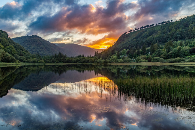 Обои картинки фото природа, реки, озера, река, лес