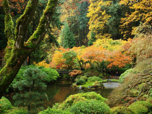 Картинка природа парк пруд мостик