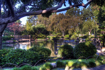 Картинка природа парк пруд деревья