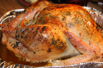 Картинка еда мясные+блюда индейка