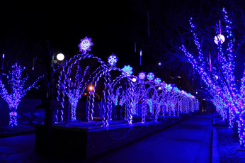 Картинка праздничные новогодние+пейзажи иллюминация