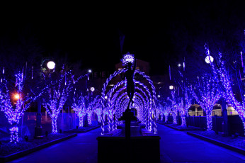 Картинка праздничные новогодние+пейзажи иллюминация