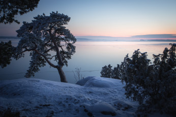 Картинка природа зима простор