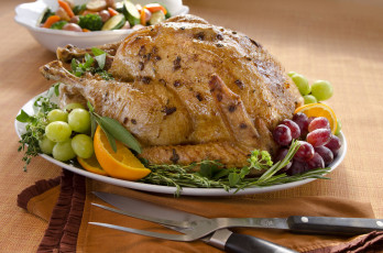 Картинка еда мясные+блюда индейка